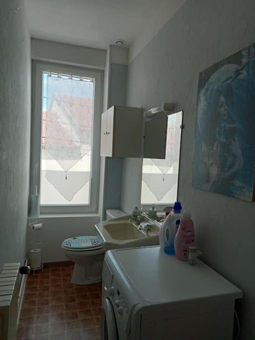 Vigneulles-lès-HattonchâtelF2 1Er Etageアパートメント エクステリア 写真